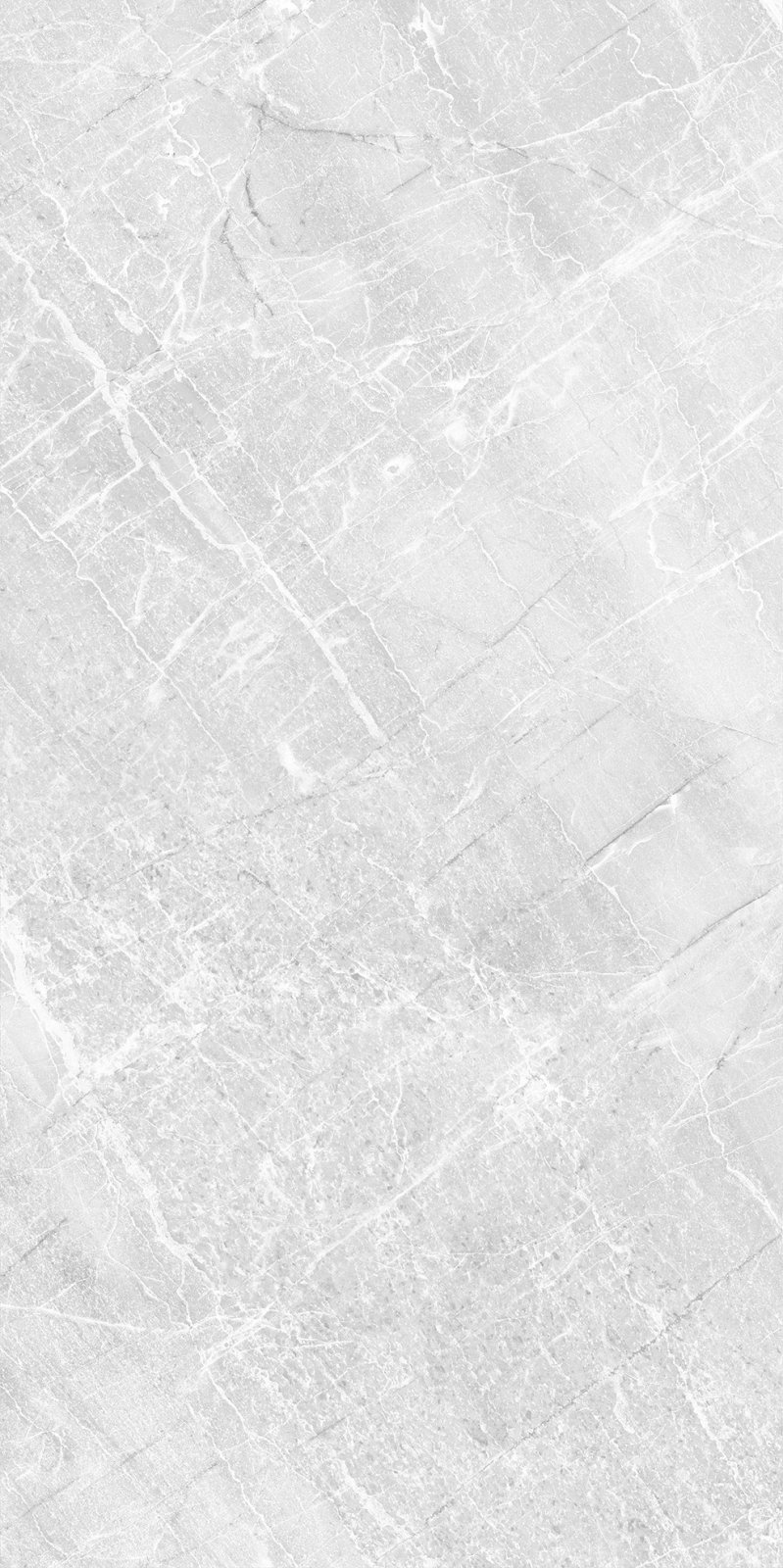 PLATINUM 25X50 CARMEN GREY